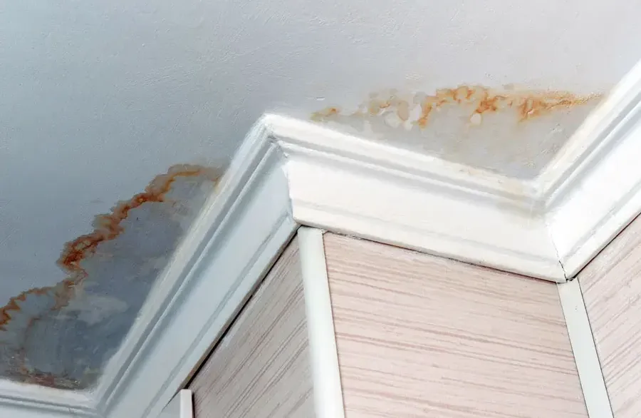 Water stains running along a ceiling and crown molding below a leaking unit upstairs