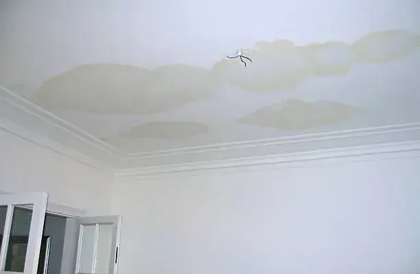 Brown water stains spreading across a bedroom ceiling from a leak above